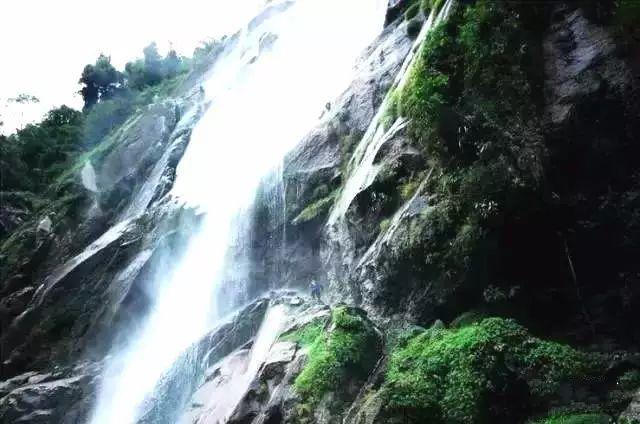 虫虫助手下载