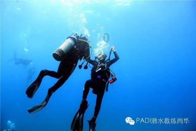 脑洞小老弟无实名认证