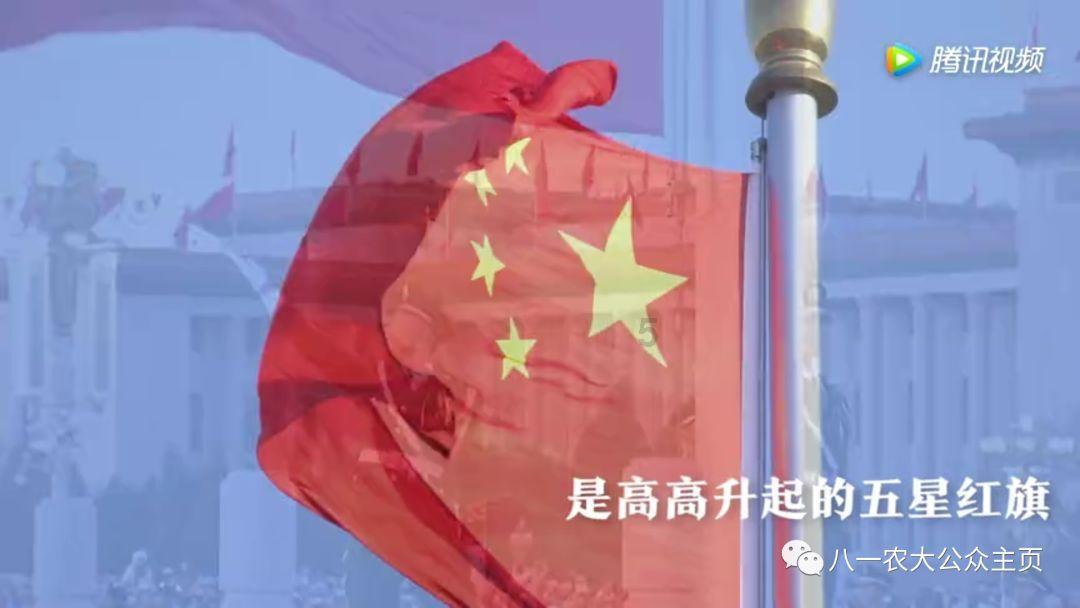 蓝狐视频